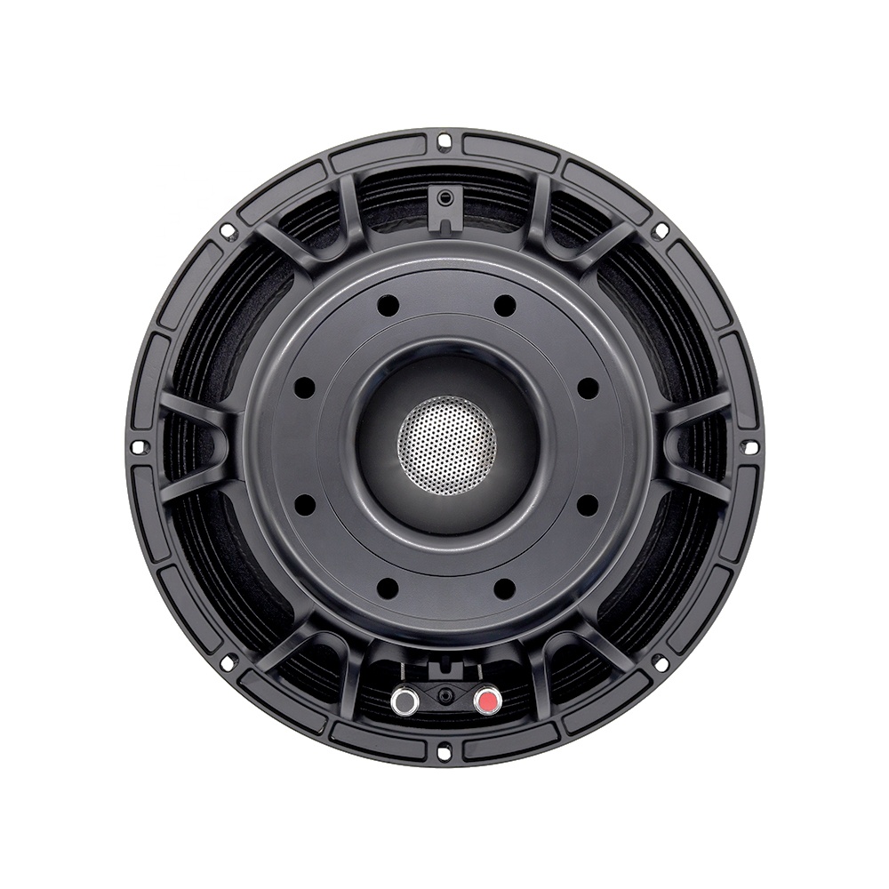Speakers - Attrezzatura Audio Professionale 12DS, Altoparlante da