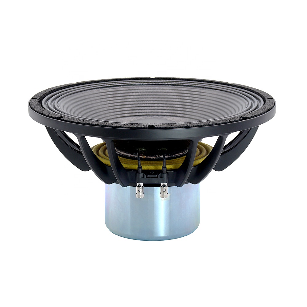 Nuovo Altoparlante Professiona - Speakers recensione e prezzo
